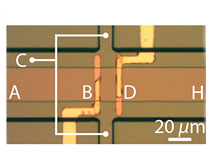 C-SPIN: Optical micrograph of a Gallium Arsenide spin valve.