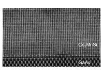 C-SPIN: Spin optical interconnects are possible using light polarization