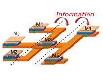 C-SPIN: All-spin logic gates with built-in directionality of information flow.